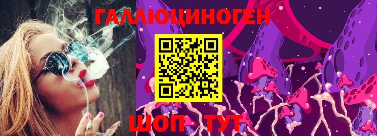 Карачаевск  Псилоцибиновые грибы GOLDEN TEACHER  Вход с VPN 
