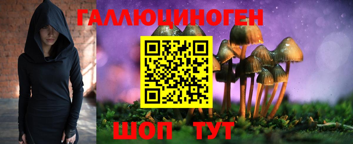 Галлюциногенные грибы Magic Shrooms Карачаевск